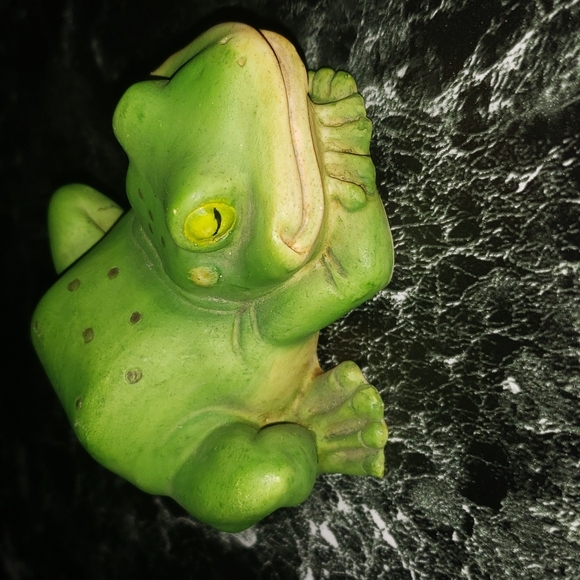 Lucky Frog Decoration - Picture 1 of 7